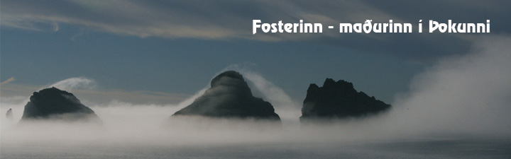 Fosterinn - var, er og mun verða - Hausmynd